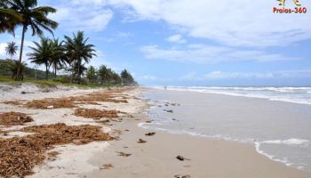 ba-ilheus-praia-dos-milionarios-170